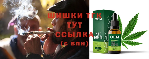 PSILOCYBIN Алзамай
