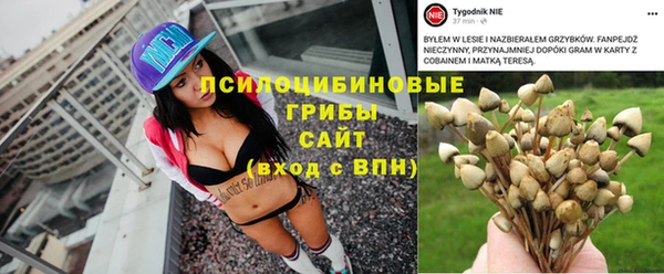 прущие грибы Алексеевка