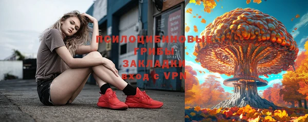 PSILOCYBIN Алзамай