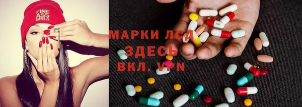 прущие грибы Алексеевка